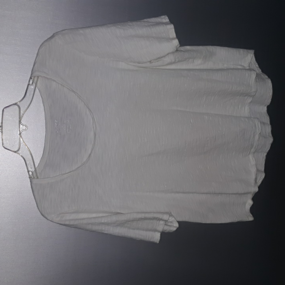 Chico's Size L (SKU N72)